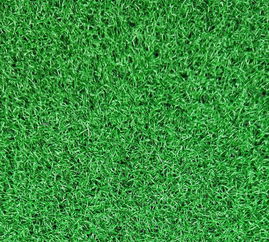 PVC草坪仿真加密草坪塑料人工室内绿植装饰户外幼儿园足球场地
