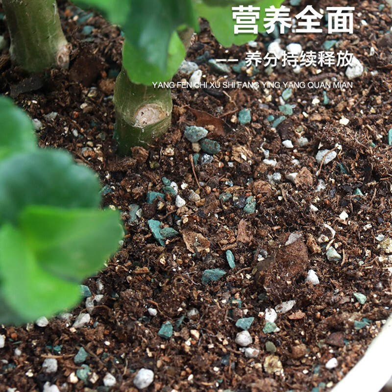 SOILLAND 朝日家用园艺花卉营养土 阳台办公室盆栽基质土种植土绿植花土 玫瑰月季型-5L