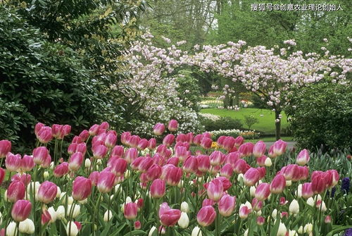 鲜花经济开出新 花 样